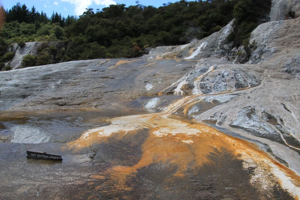 Orakei Korako