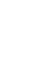 White flag icon